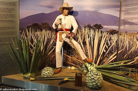 el Museo Sensorial del Tequila